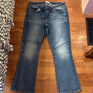 BKE Women's Medium Blue Bootcut Jeans